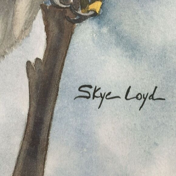 Skye Loyd White Tailed Kite Watercolor Print 8.5”x 11” Bird Of Prey Artwork New - Picture 6 of 6